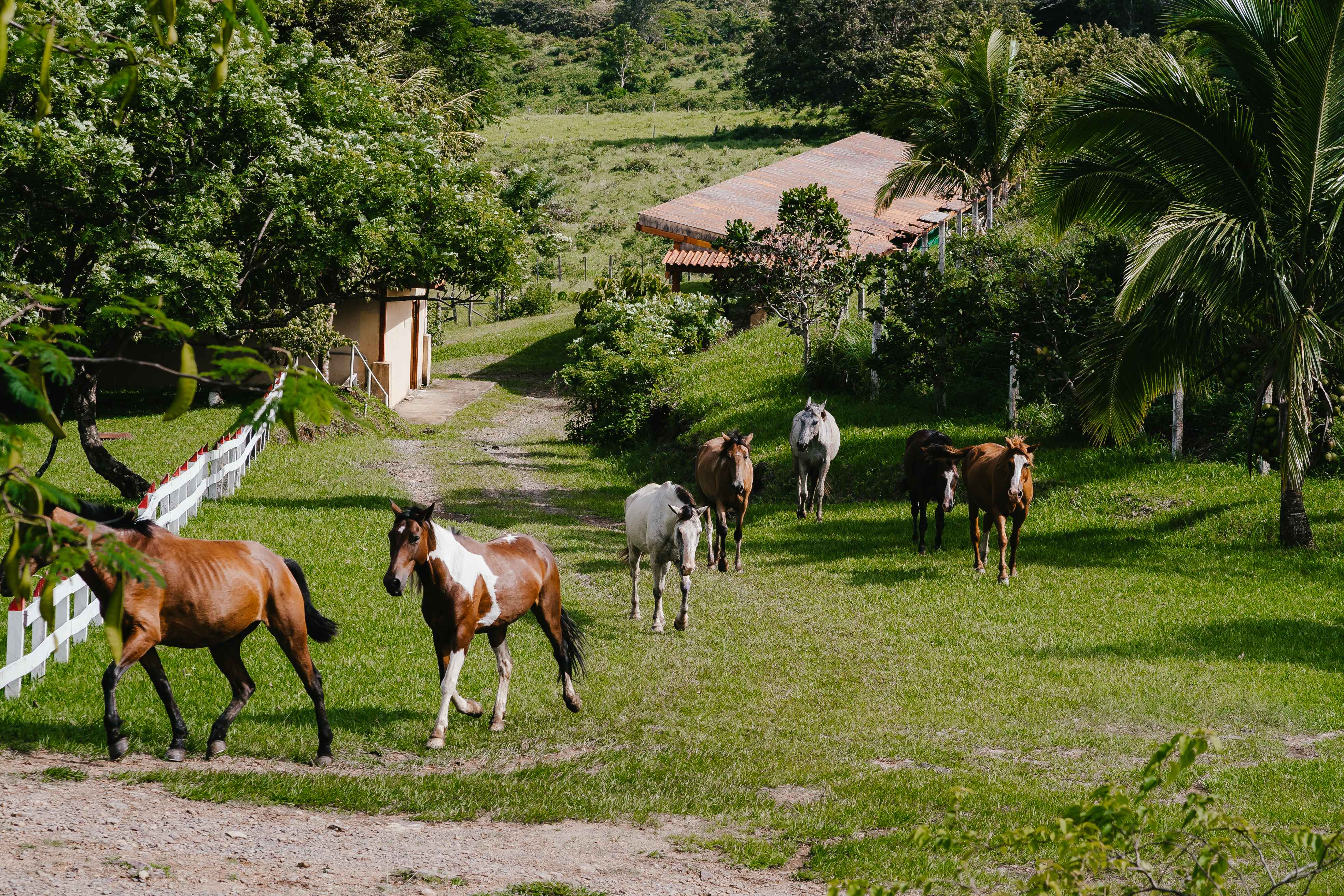 Vida Aventura Ranch Experience